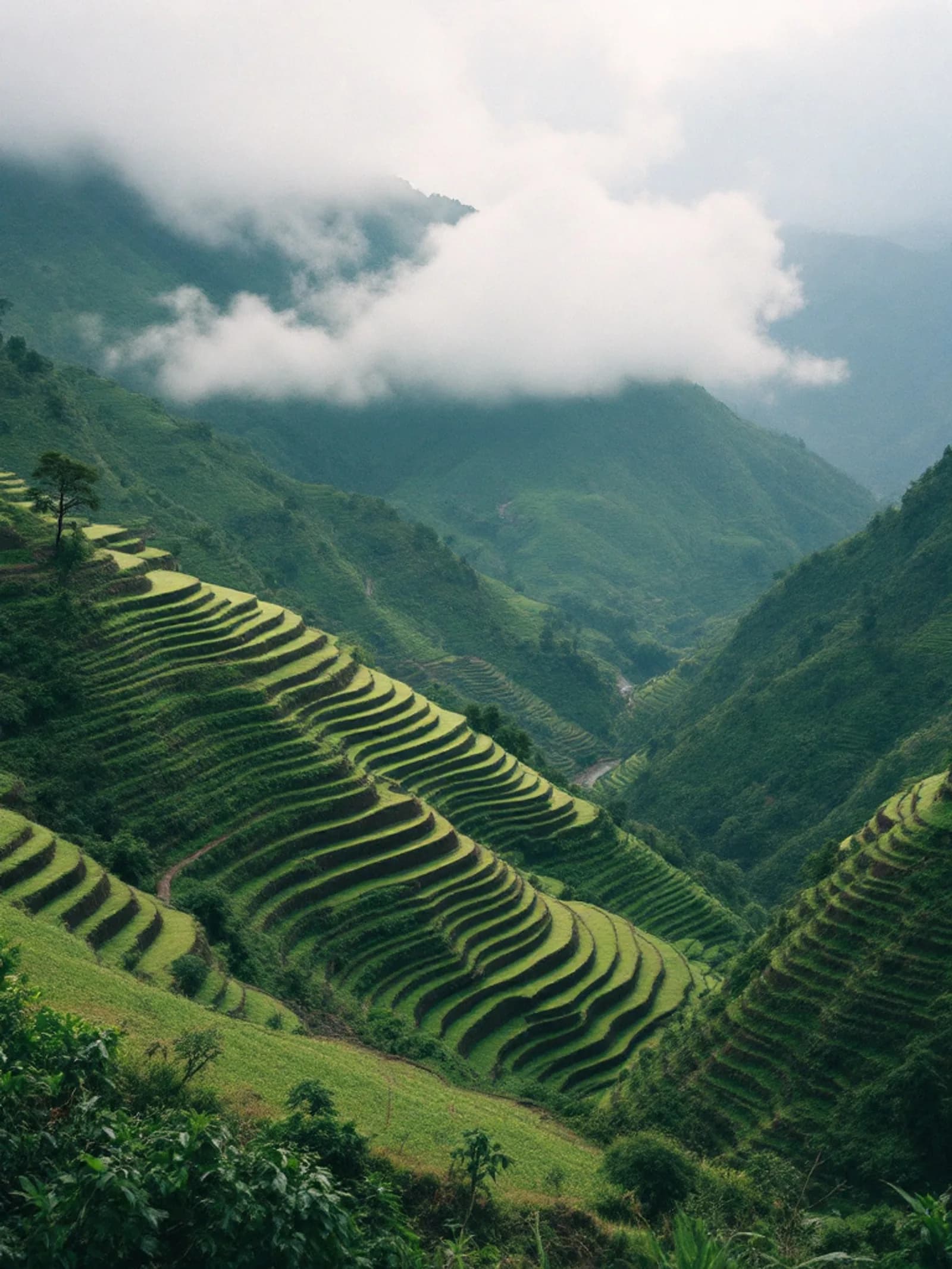 Emerald mining country near Muzo, Colombia